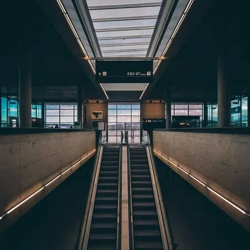 오메가3의 부작용과 주의사항 이미지