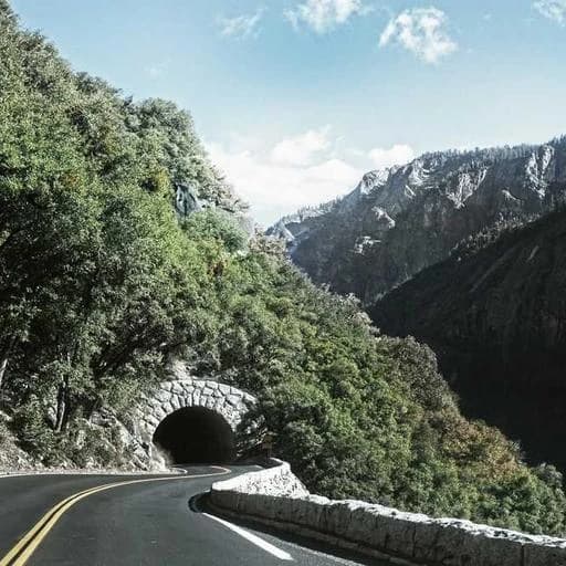 심사 과정과 주의사항 이미지