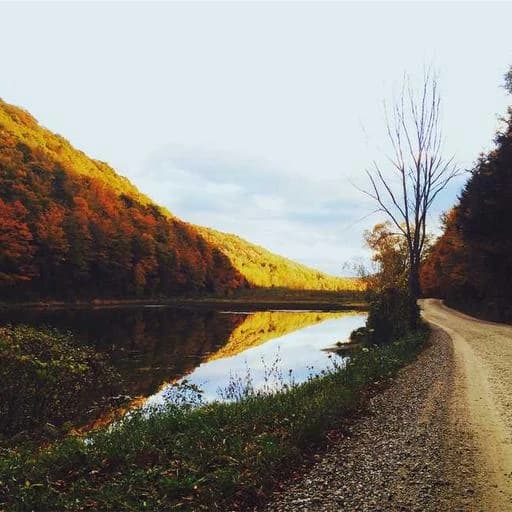 피부과 전문의의 조언 이미지