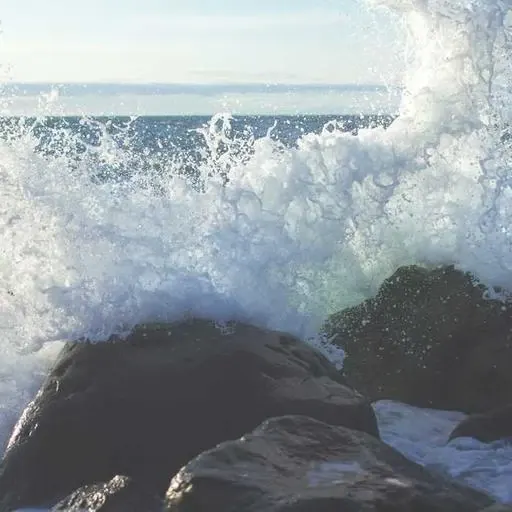 핵심 요약 이미지