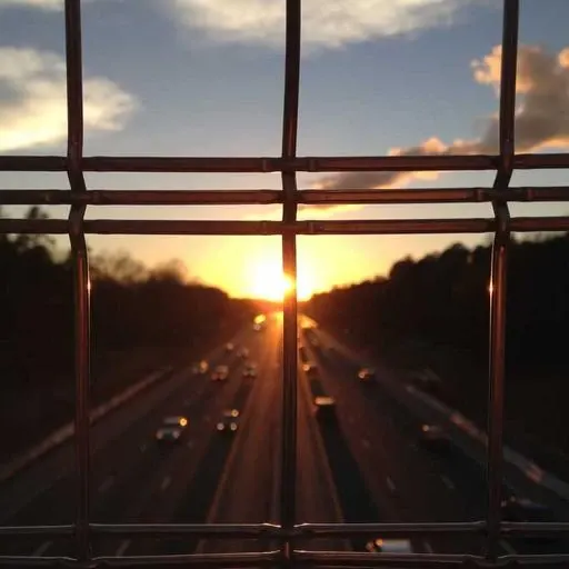 디톡스 식단 구성하기 이미지