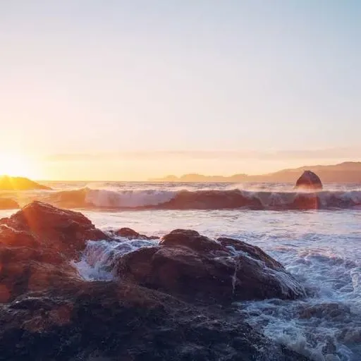 핵심 요약 이미지