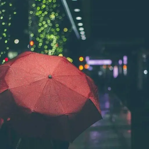 건강한 생활 습관 형성 이미지