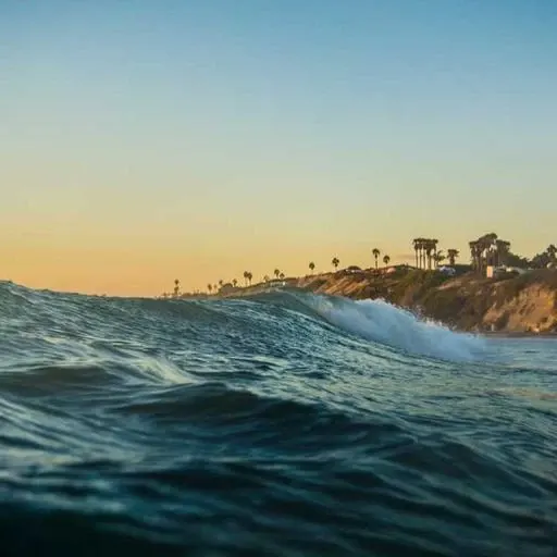 자주 묻는 질문 이미지