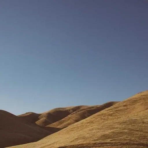 당뇨병성 말초신경병증 이미지