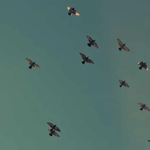 신청서 작성 요령 이미지