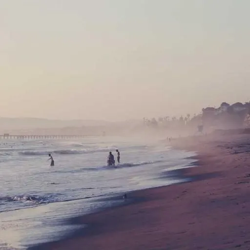 스마트팜 창업 성공 사례 이미지