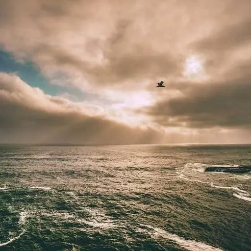 자주 묻는 질문 (Q&A) 이미지