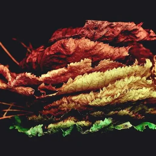 핵심 요약 이미지