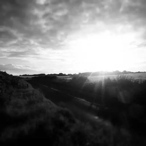 핵심 요약 이미지