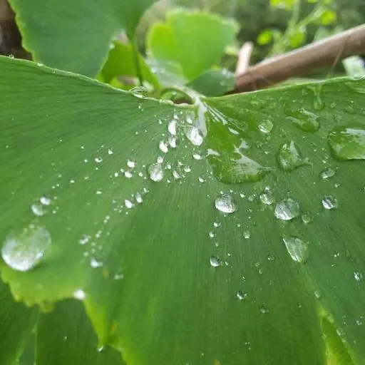 Q&A: 자주 묻는 질문 이미지