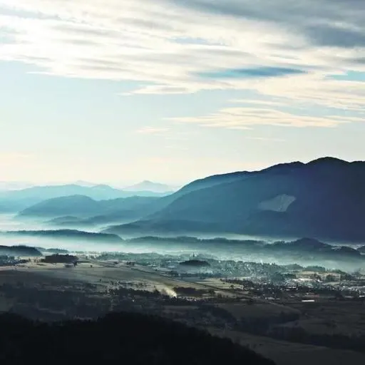 코 건강을 위한 전문적인 치료 이미지