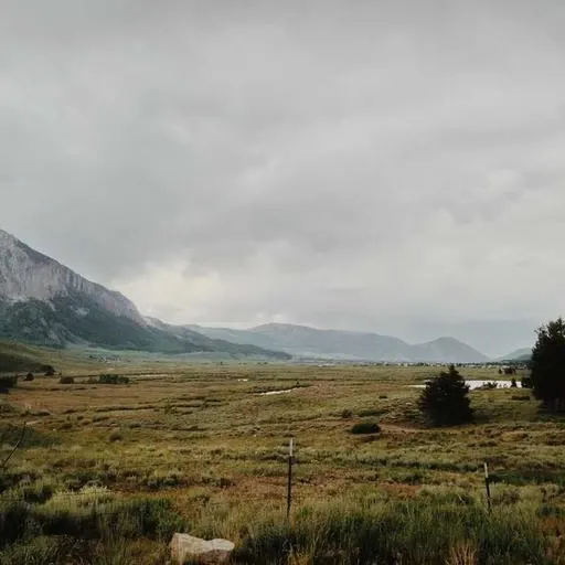 Q&A: 자주 묻는 질문 이미지