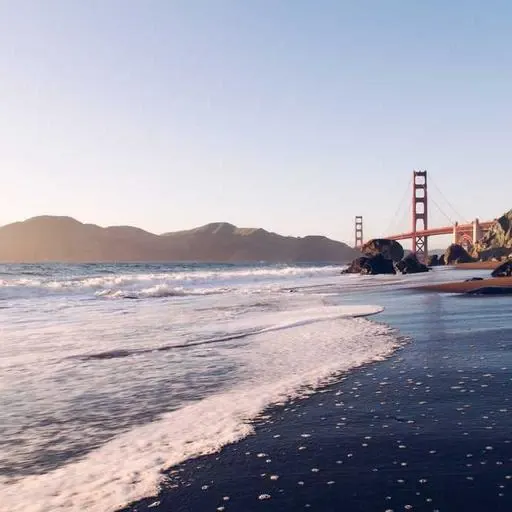 탈모 예방을 위한 제품 선택 이미지