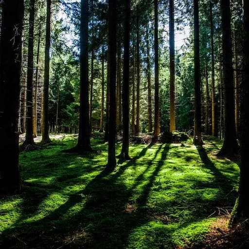 Q&A: 자주 묻는 질문 이미지