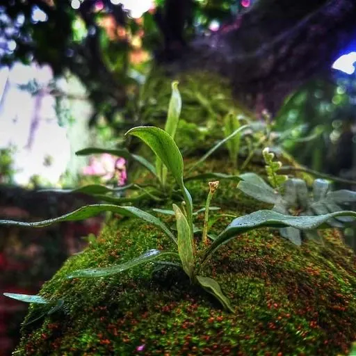 핵심 요약 이미지