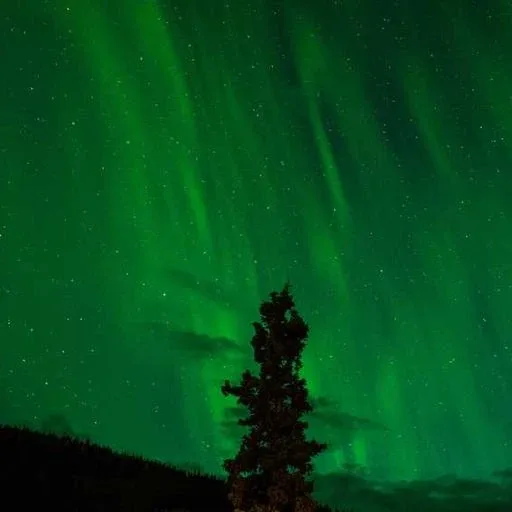 핵심 요약 이미지