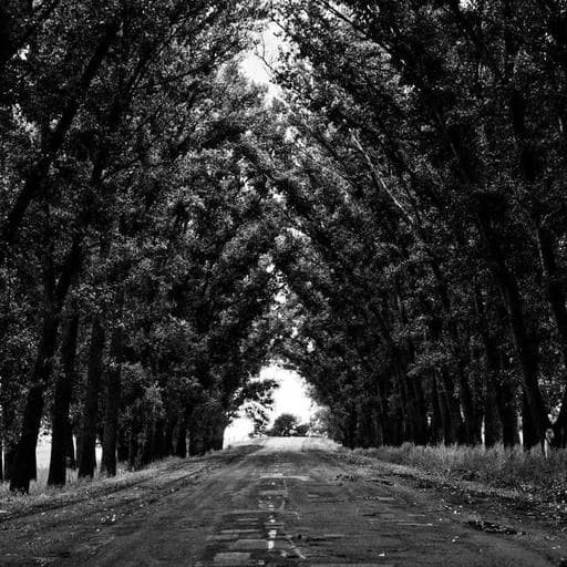 루테인 섭취의 효과적인 시간과 방법 이미지