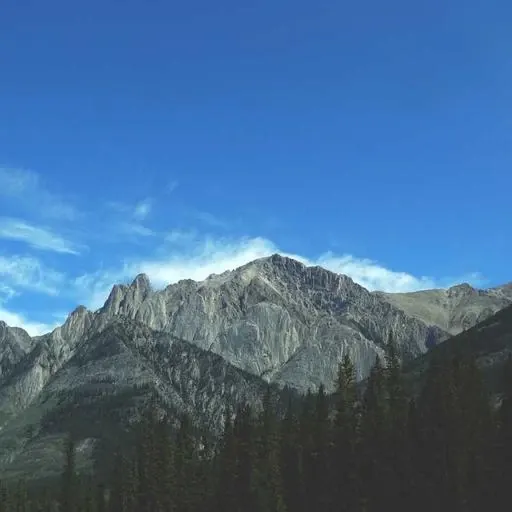 면역력 영양제의 효과를 높이는 생활 습관 이미지