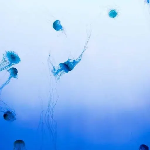 40대 남성을 위한 추천 영양제 이미지