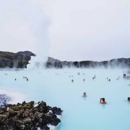 자연 식품을 통한 면역력 강화 이미지