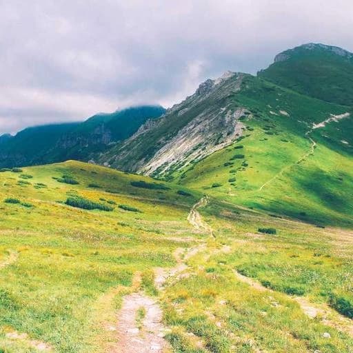 40대를 위한 운동 계획 이미지