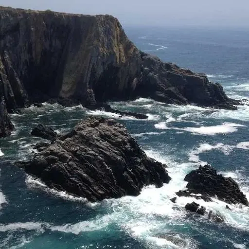 핵심 요약 이미지