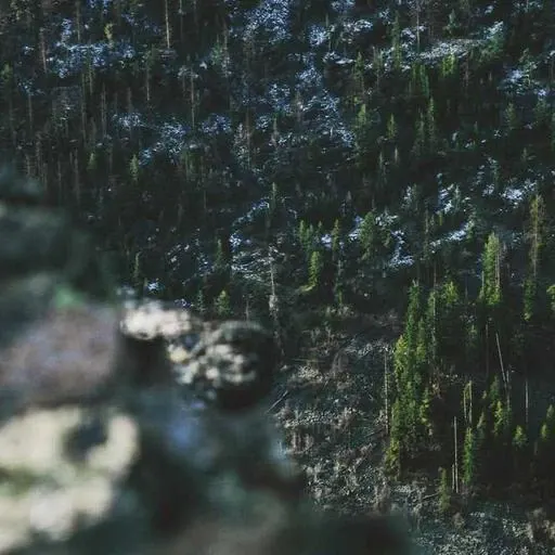 핵심 요약 이미지