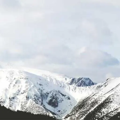 의학적 접근: 약물 치료 이미지