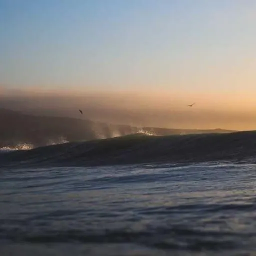 규칙적인 운동과 대장 건강 이미지