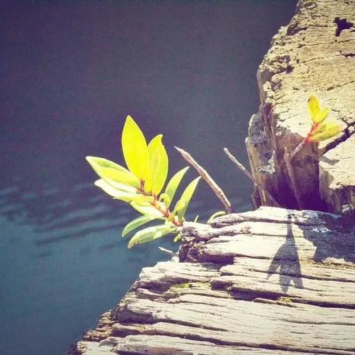 자주 묻는 질문 이미지