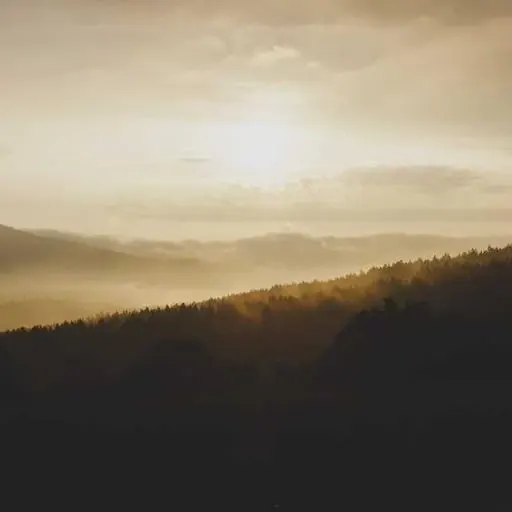 생활습관 개선 방법 이미지