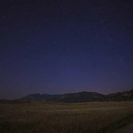 위험 요인 관리 이미지
