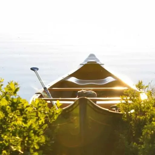 약물 치료의 역할 이미지