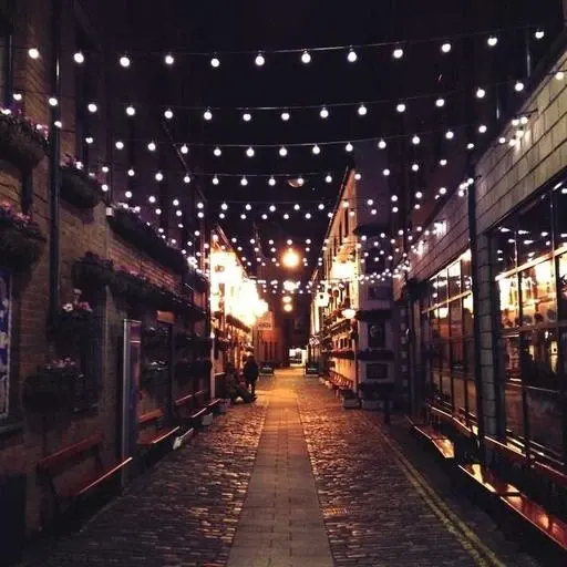 유전적 요인의 영향 이미지