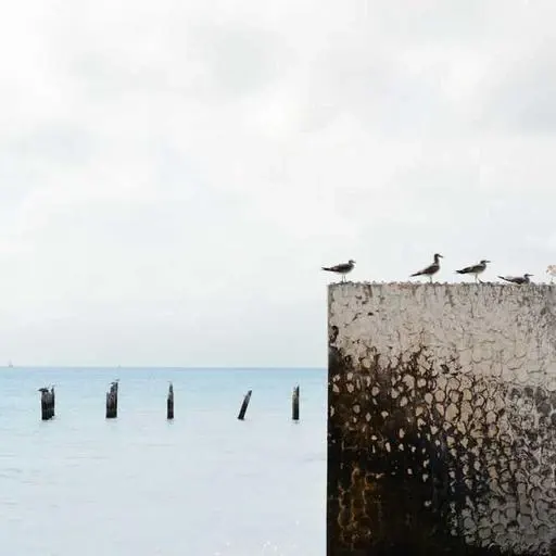 Q&A: 자주 묻는 질문 이미지