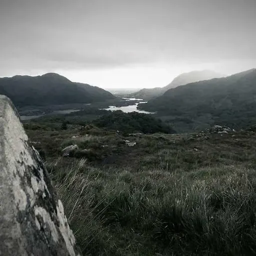 속쓰림과 스트레스의 관계 이미지