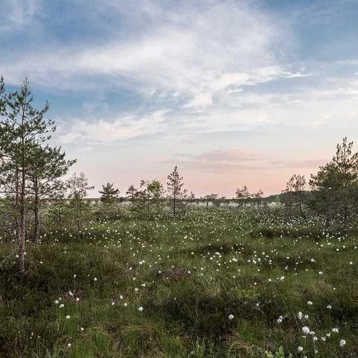 의료 전문가와의 상담 이미지