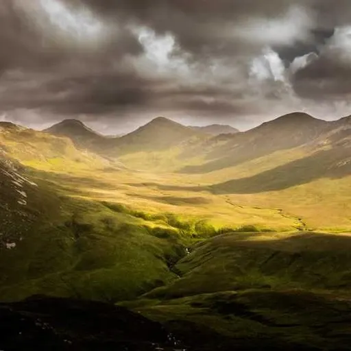 고혈압 관리에 도움이 되는 생활 습관 이미지