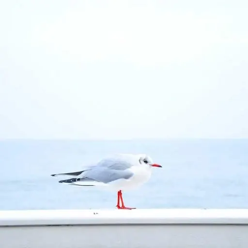 핵심 요약 이미지