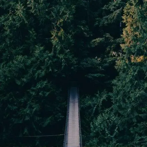 대출 신청 절차 이미지