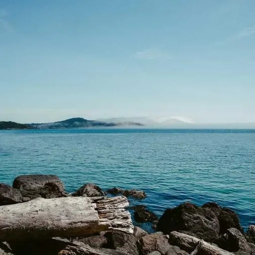 핵심 요약 이미지