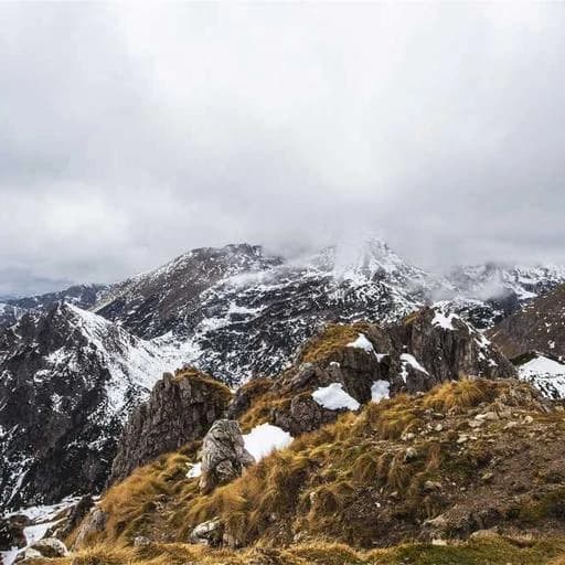 핵심 요약 이미지