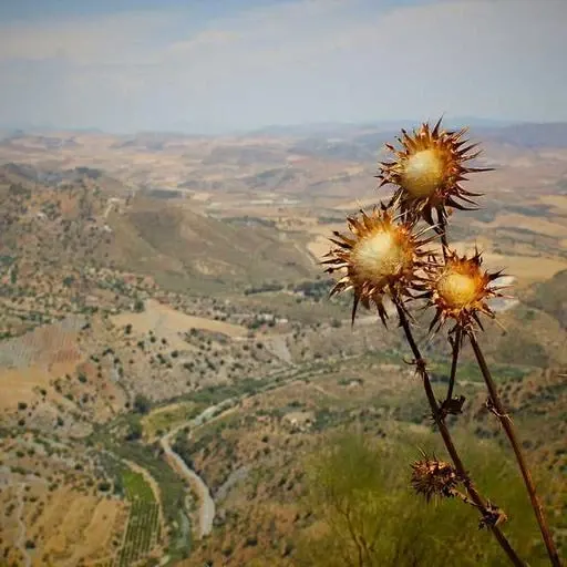 핵심 요약 이미지