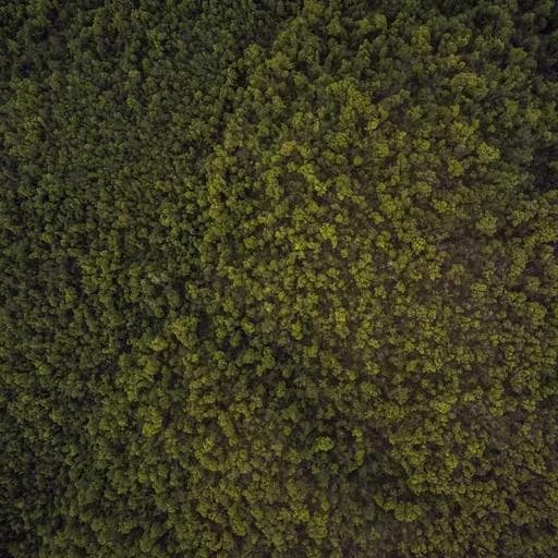 갱년기와 질 건강 이미지