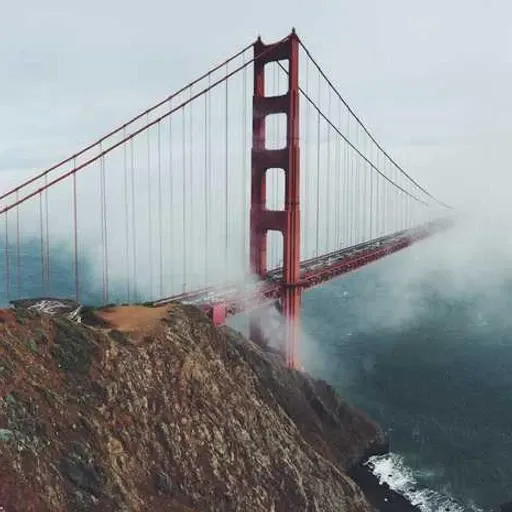 핵심 요약 이미지