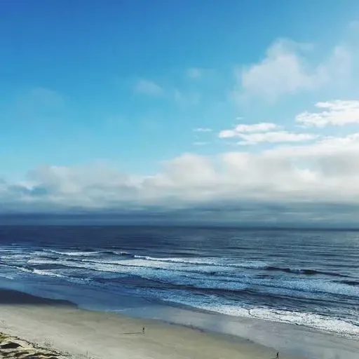 핵심 요약 이미지