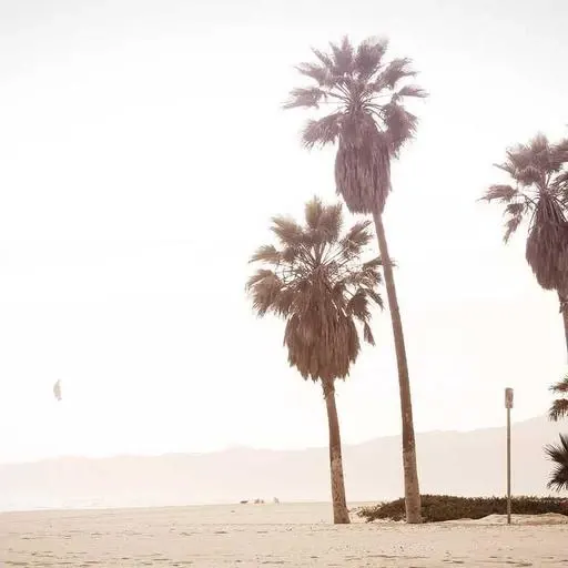 핵심 요약 이미지