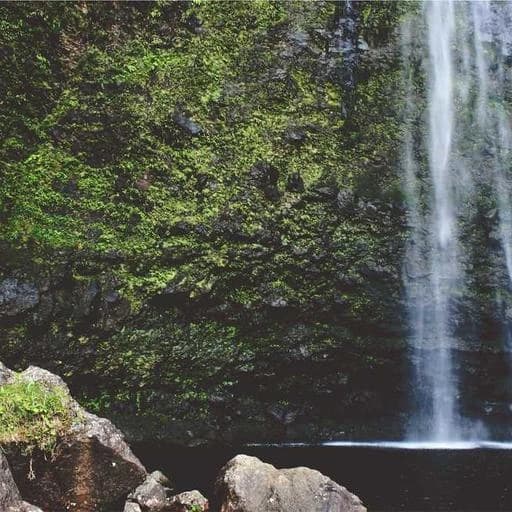 스트레스 관리와 정신 건강 이미지