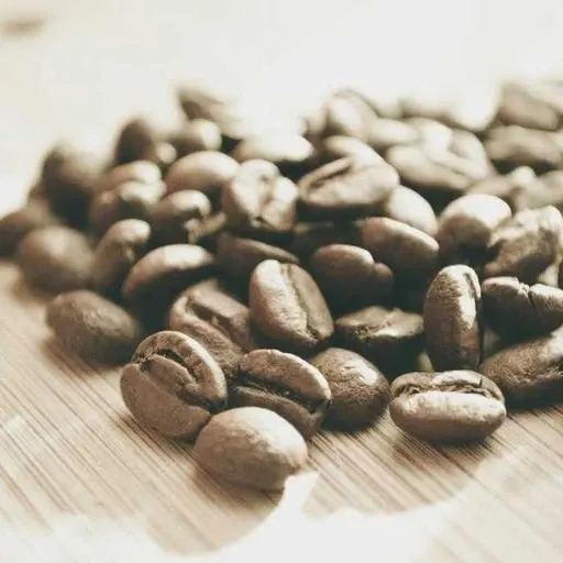 정력 영양제의 최신 트렌드 이미지